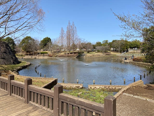 七井戸公園　遊歩道　池　噴水
