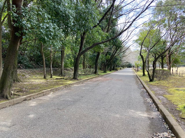 上座総合公園　散歩コース　遊歩道