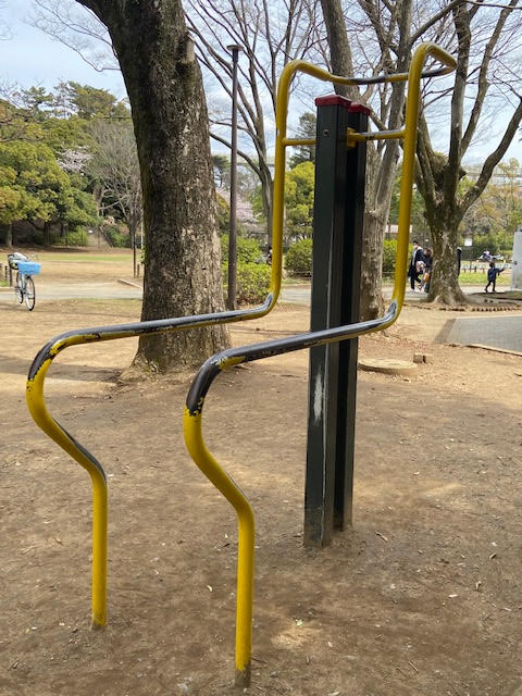千葉公園　遊具　スレチック　健康遊具