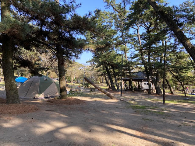 富津公園　キャンプ場