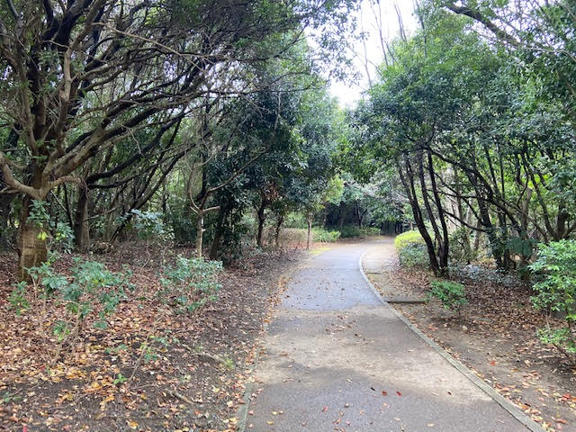 谷津干潟公園　散歩道