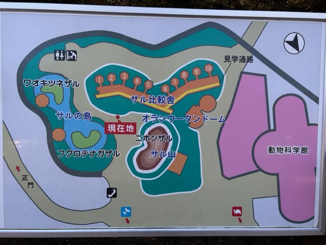 千葉市動物公園　アスレチック　複合遊具　地図