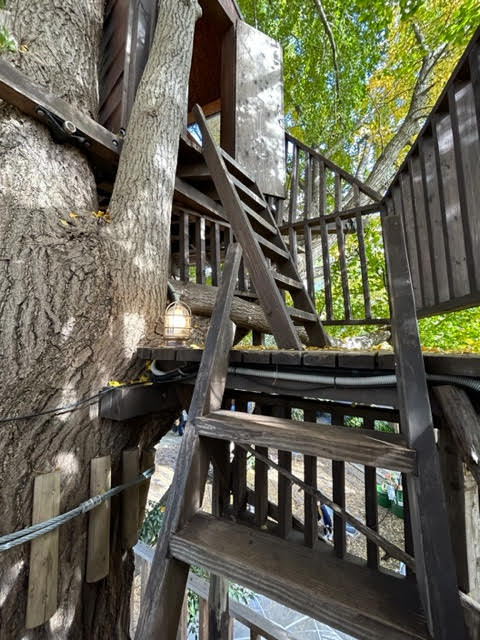 椿森コムナ　ツリーハウス　吊り橋　階段