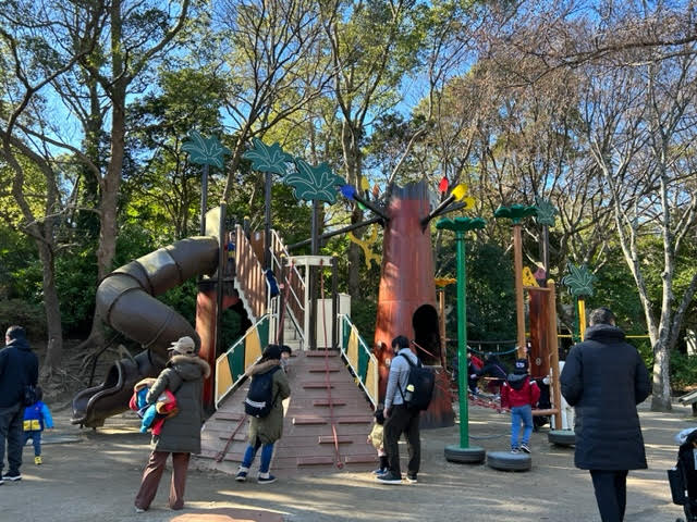 千葉市動物公園　アスレチック　複合遊具　