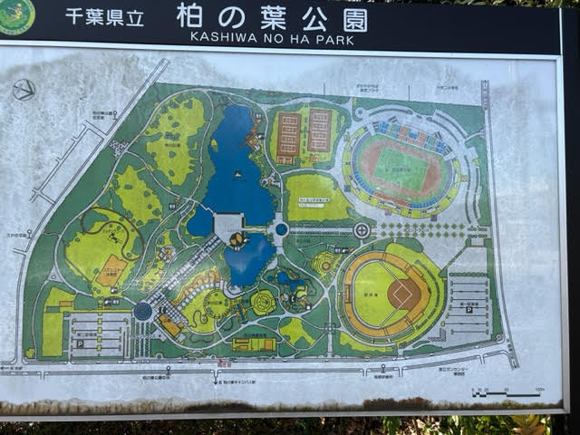千葉県立柏の葉公園　園内マップ