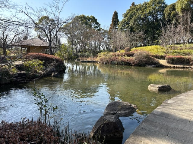 千葉県立柏の葉公園　日本庭園　池