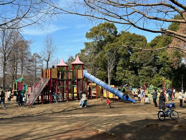 千葉県立柏の葉公園　遊具　アスレチック　冒険のトリデ　