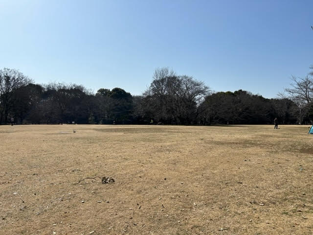 千葉県立柏の葉公園　芝生広場