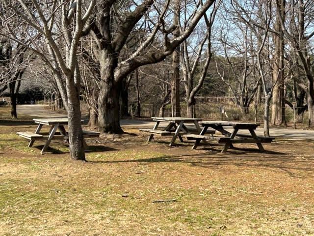 千葉県立柏の葉公園　芝生広場　テーブルセット
