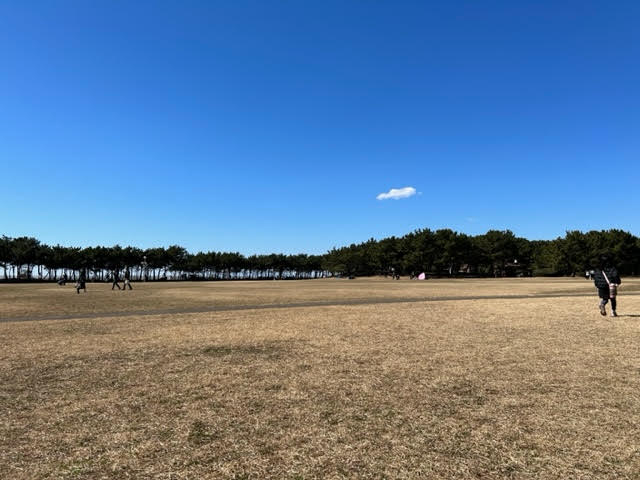 稲毛海浜公園　芝生広場