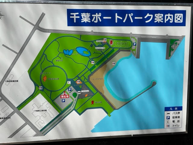 千葉　ポートタワー　公園　千葉ポートパーク　地図