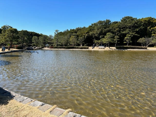 稲毛海浜公園　池