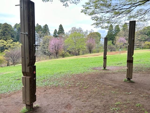 千葉市昭和の森公園　アスレチックコース　登り棒