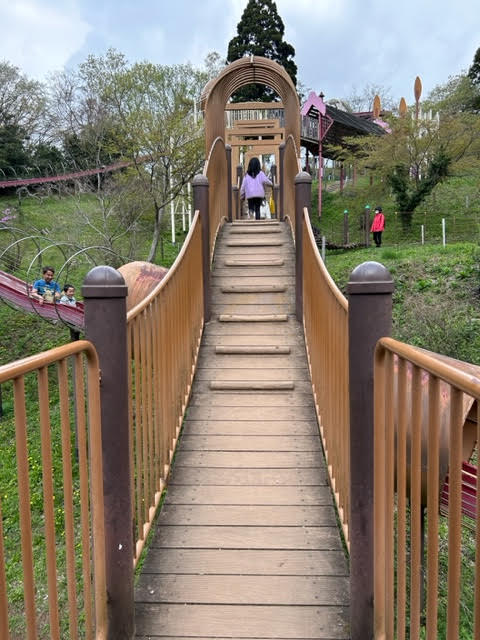 千葉市昭和の森公園　ローラすべり台　滑り台