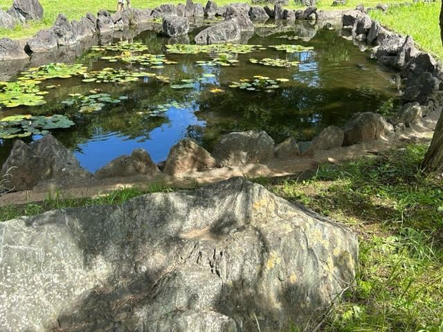 富里中央公園　池