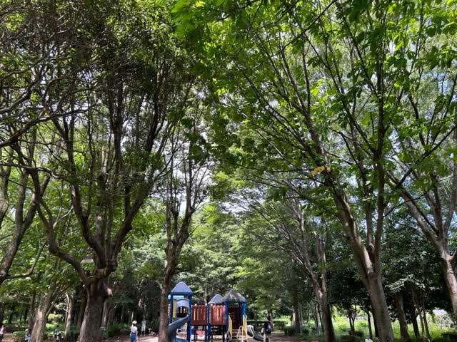 富里中央公園　複合遊具　アスレチック　木陰