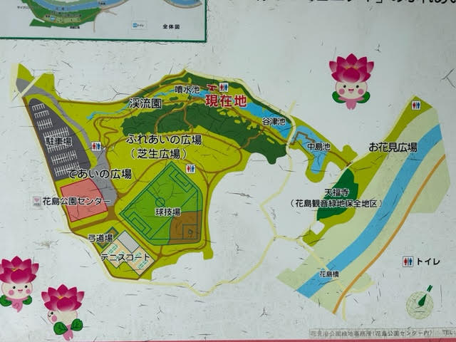 花島公園　じゃぶじゃぶ池　噴水池　マップ