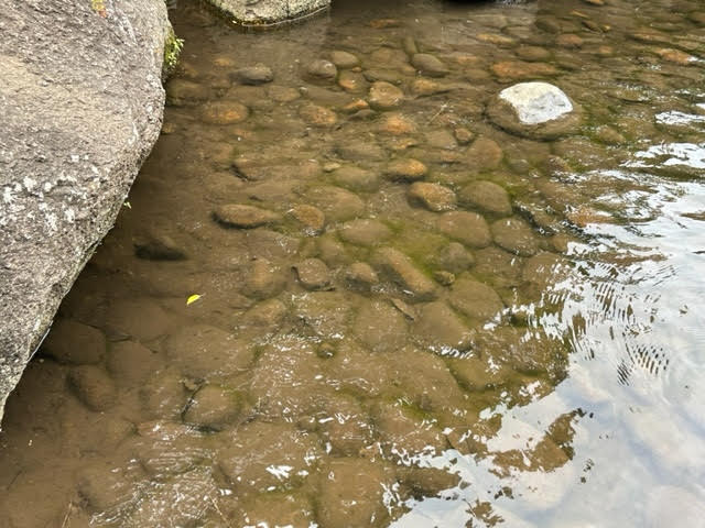 花島公園　じゃぶじゃぶ池　噴水池　丸石