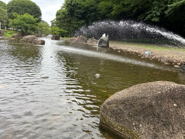 花島公園　じゃぶじゃぶ池　噴水池　水遊び