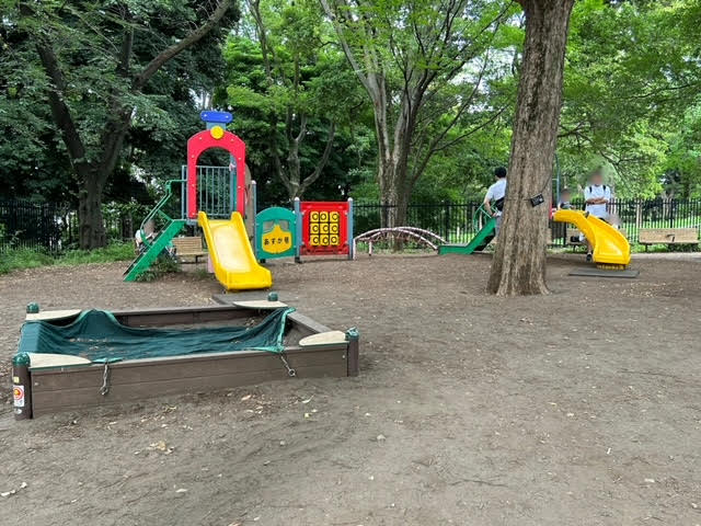 王子　飛鳥山公園　児童エリア　遊具　複合遊具