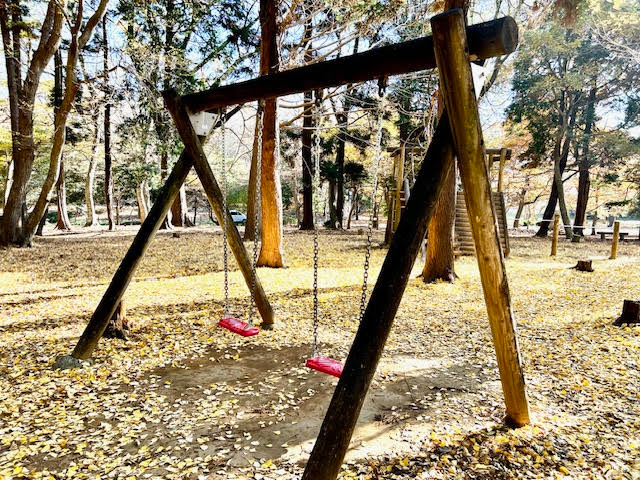 八千代台北子供の森　遊具　アスレチック　ブランコ
