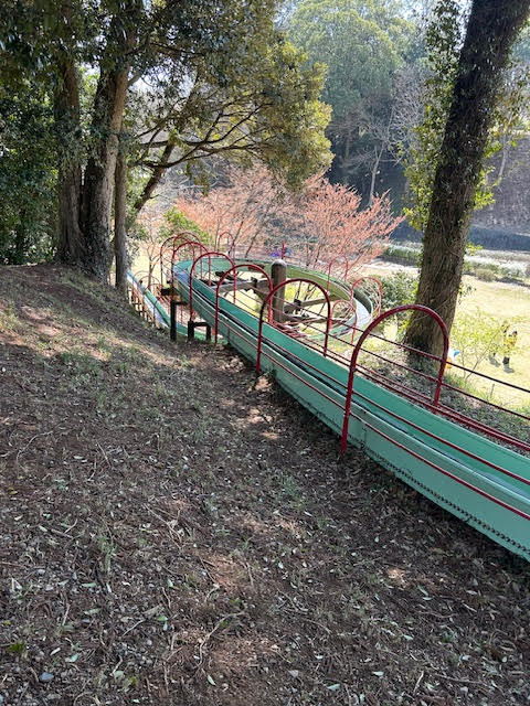 坂田ヶ池総合公園　ジャンボスライダー　ローラーすべり台