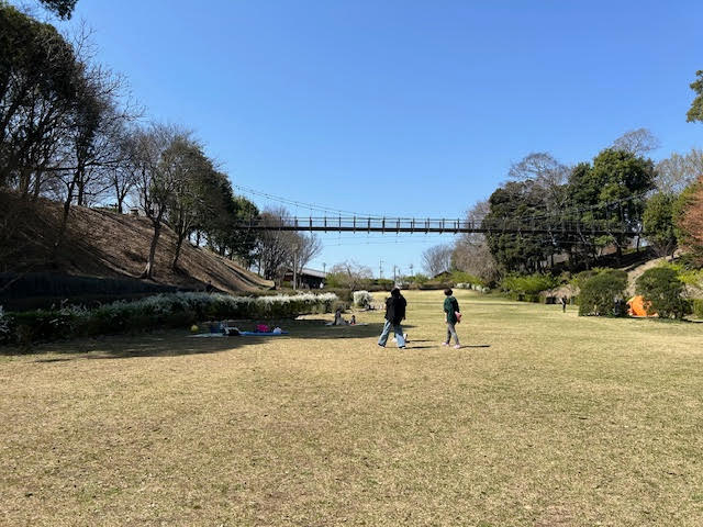 坂田ヶ池総合公園　芝生広場　つり橋