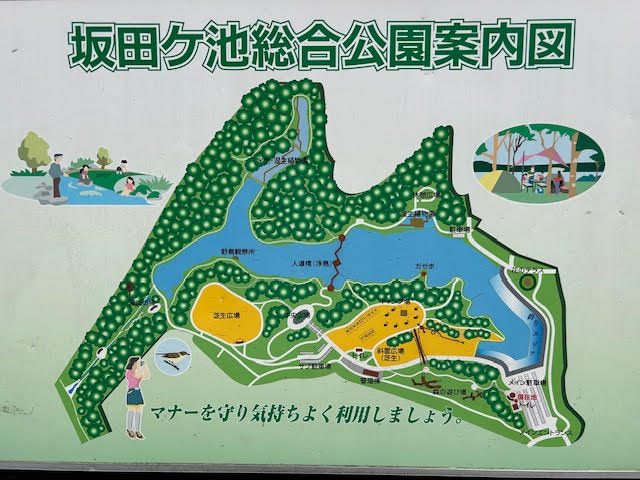坂田ヶ池総合公園　園内マップ　地図