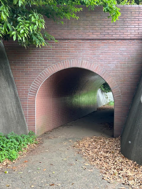 公津の杜公園　景色　調整池　トンネル