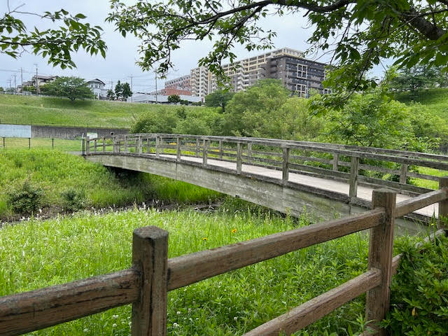 公津の杜公園　景色　調整池　橋